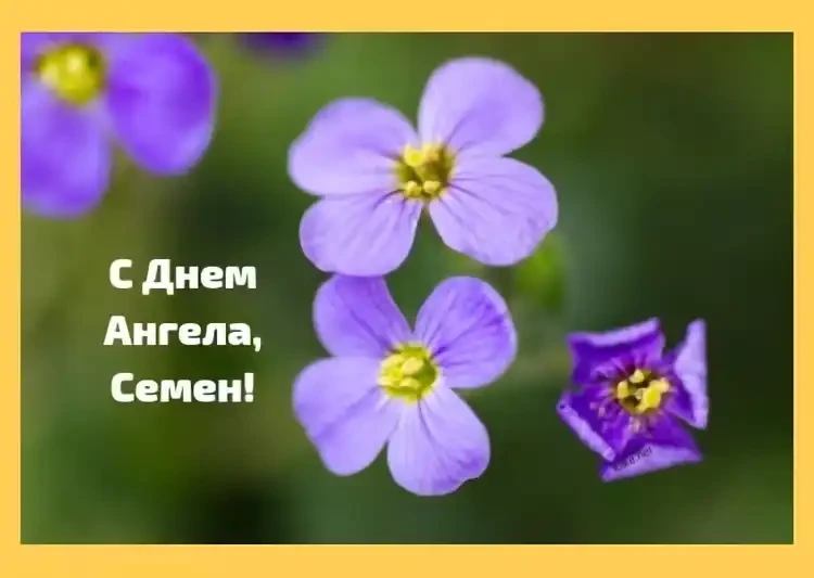День ангела Семена: щирі привітання з іменинами у прозі та листівки | MODISTA День ангела Семена: щирі привітання з іменинами у прозі та листівки | MODISTA